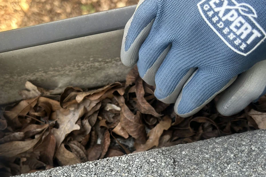 Gutter Cleaning Lakeside