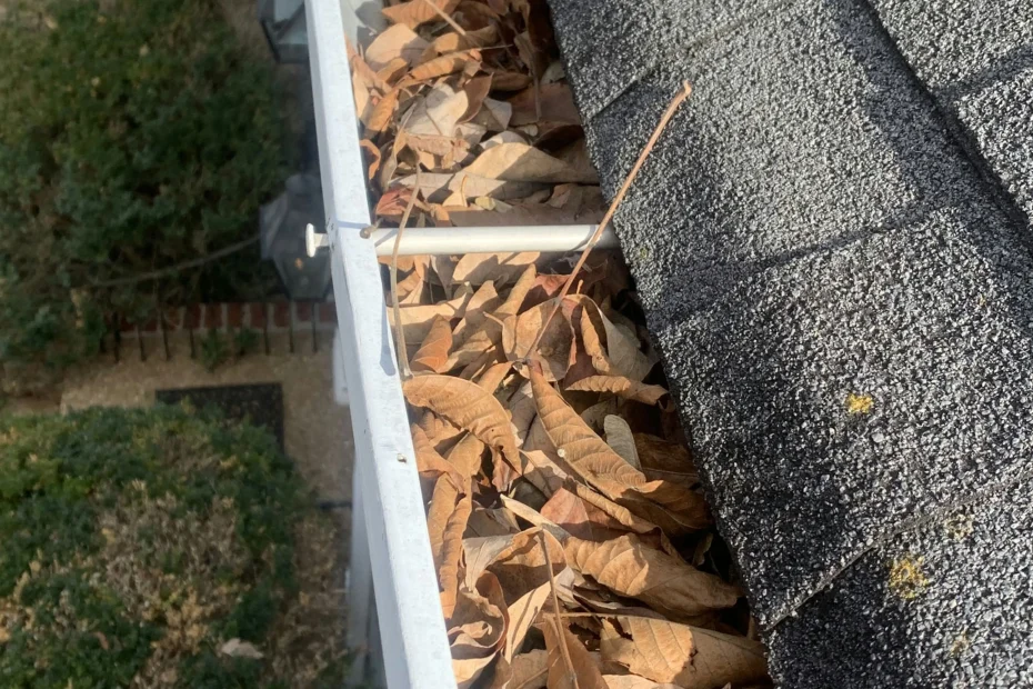 Gutter Cleaning Lakeside