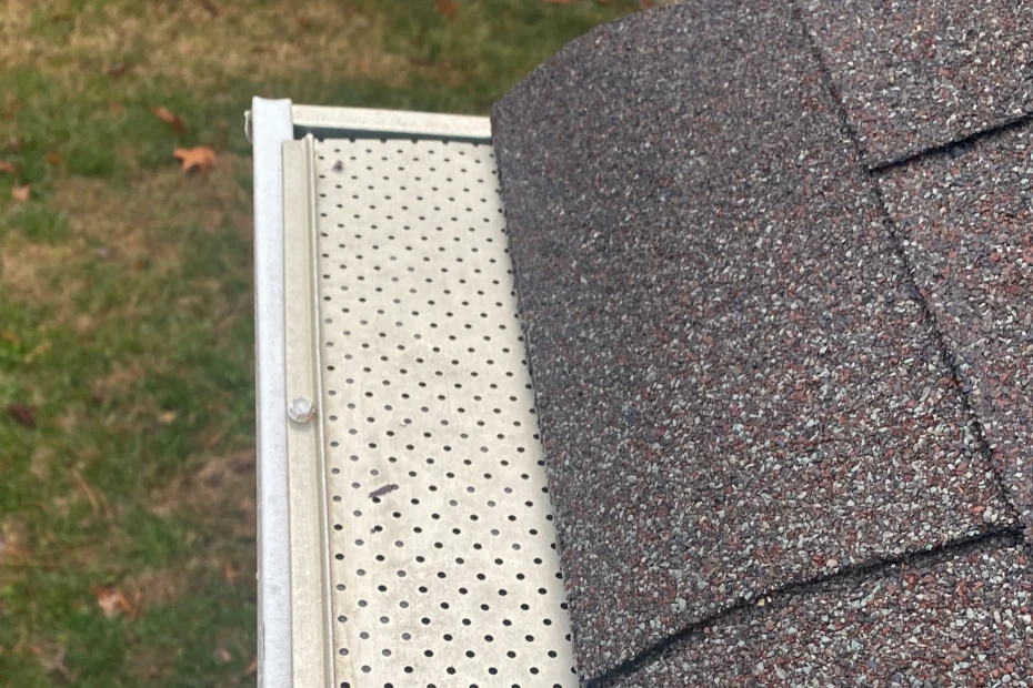 Gutter Cleaning Lakeside