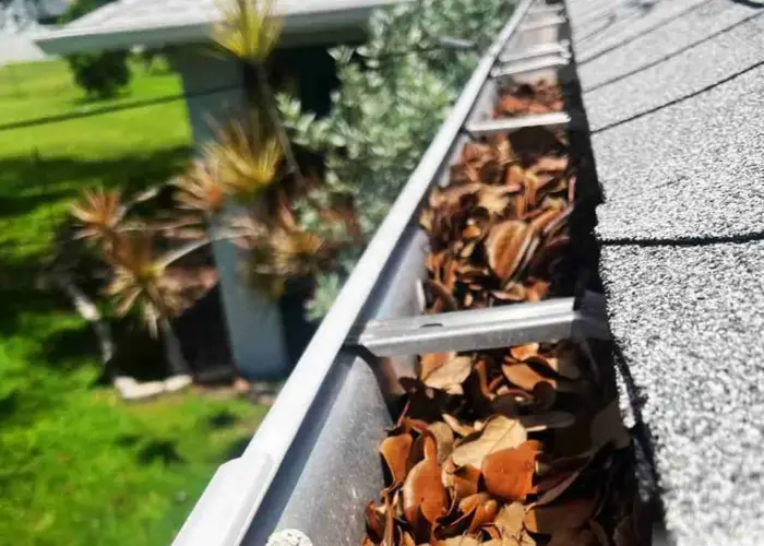 Gutter Cleaning Lakeside home page